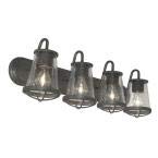 Georgina 4-Light Weathered Iron Vanity Light