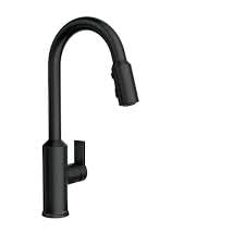 Meena Kitchen Faucet with Power Clean and Reflex in Matte Black