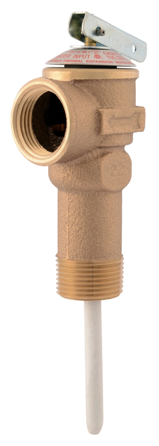 Cash Acme 7189004 0.75 in. Pressure Relief Valve