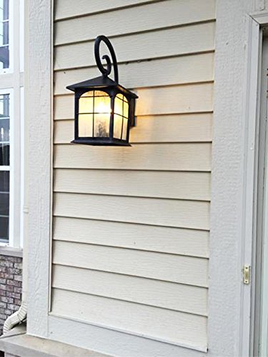 Home Decorators Collection Brimfield 1-Light Aged Iron Outdoor Wall Lantern