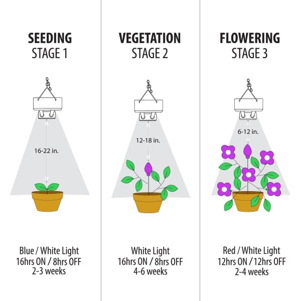 Feit Electric Grow Light 19W 2ft LED for Indoor Plants and Gardens, Full Spectrum Dual Hanging Bulb Grow Light, Hydroponic, GLP24ADJS/19W/LED