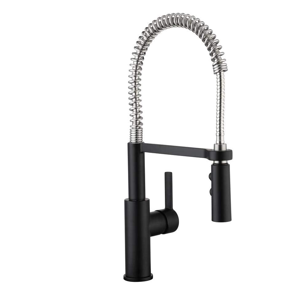 Statham Single-Handle Coil Spring Neck Kitchen Faucet with TurboSpray in Dual Finish Stainless Steel & Matte Black