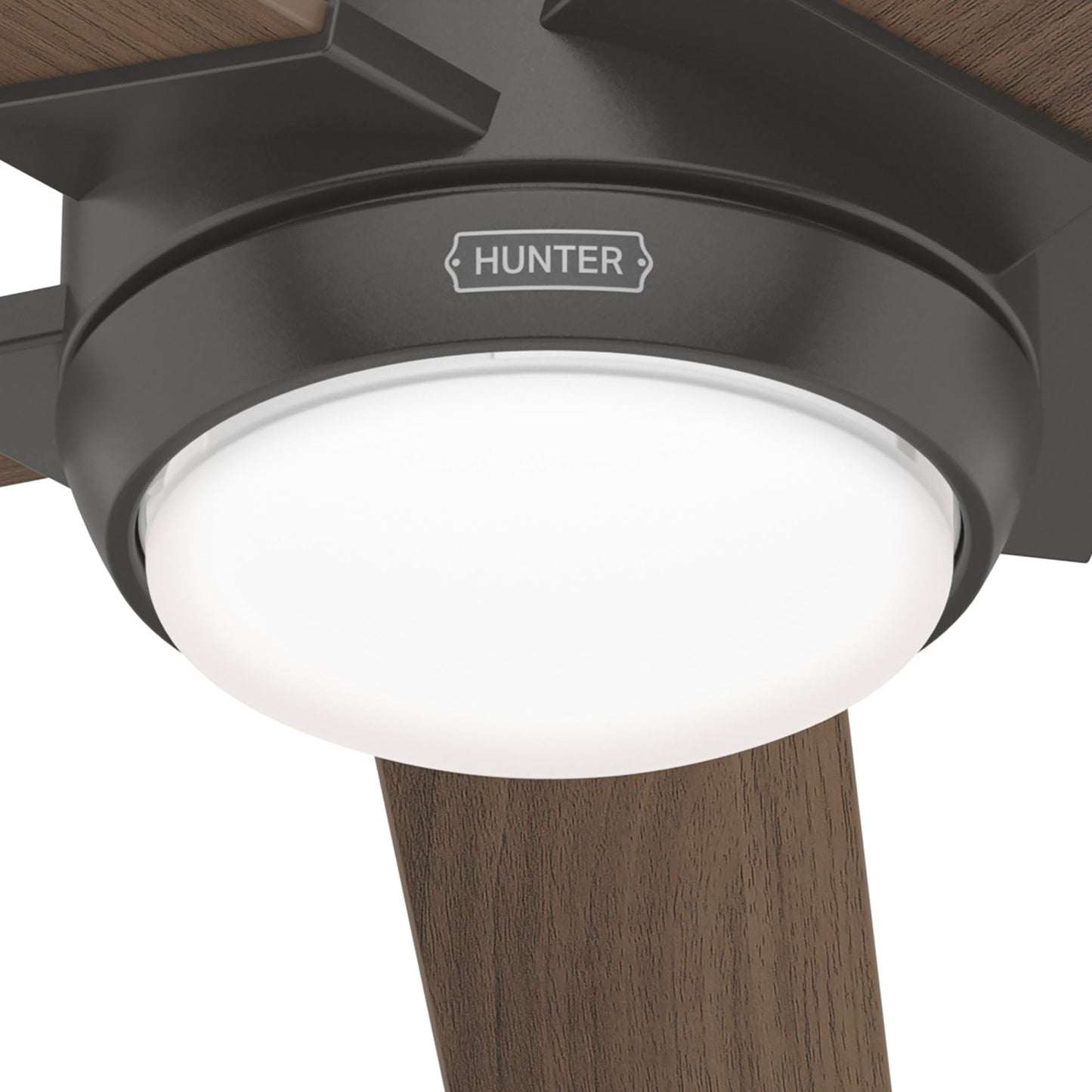 Hunter Fan Company, 52243, 52 inch Byhalia Noble Bronze Damp Rated Ceiling Fan with LED Light Kit and Handheld Remote