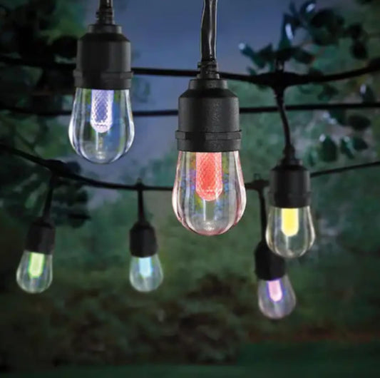 Home Decorators Outdoor/Indoor 24 ft. Smart Plug-in Bulb RGBW Color Changing LED String Light (12-Bulb)