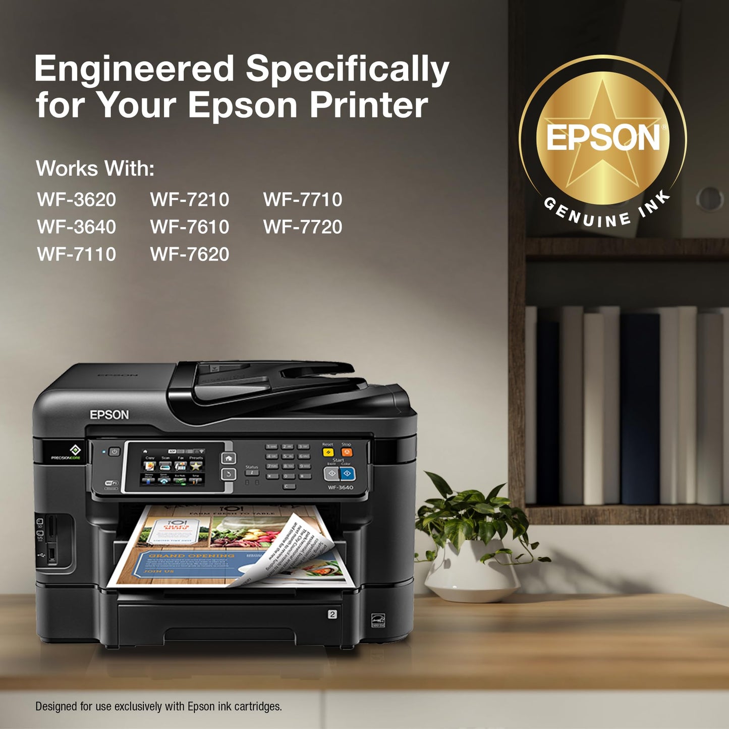 Epson T252 DuraBrite Black Dual Pack