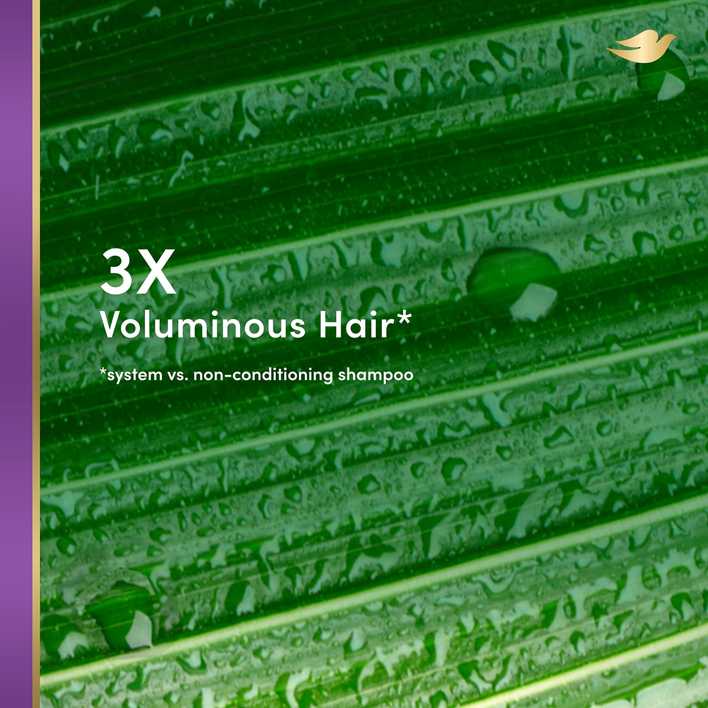 Dove RE+AL Bio-Mimetic Care Shampoo For Fine, Flat Hair Revolumize Sulfate-Free Volumizing Shampoo With Coconut + Vegan Collagen 10 Oz