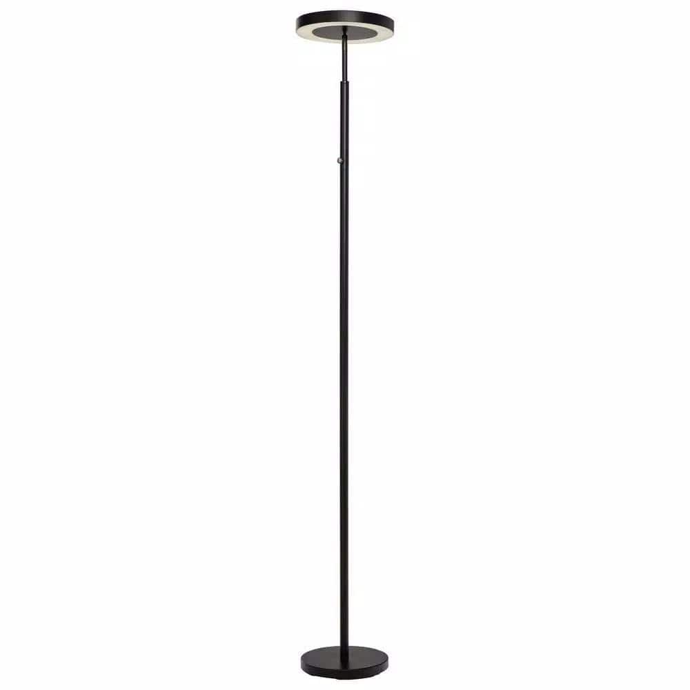 71.65 in. Black LED Floor Lamp