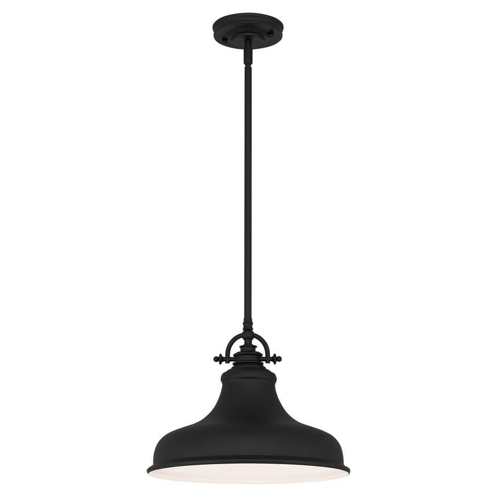 Holly 1-Light Earth Black Pendant with Metal Shade